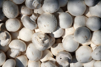 Full frame shot of mushrooms