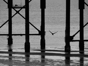 Bird perching on railing by sea