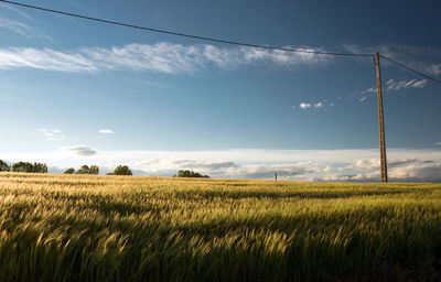 Agricultural field against sky