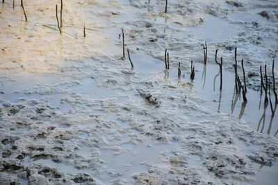High angle view of frozen lake during winter