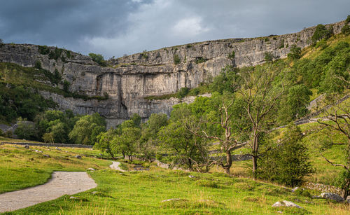 Malham cove is a limestone formation in yorkshire dales national park, england. 