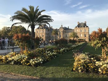 Trees and plants in lawn against building