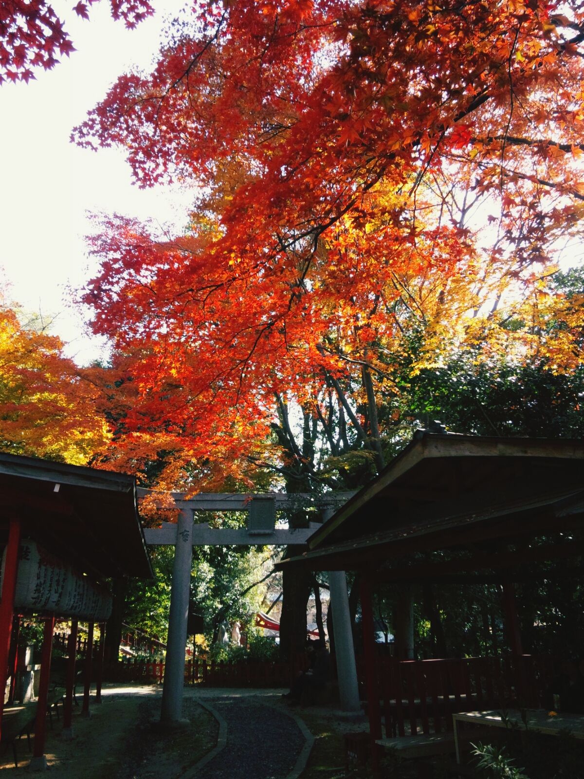 伏見稲荷神社