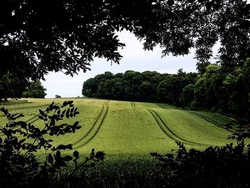 Scenic view of field against sky