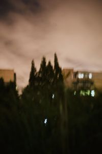 Defocused image of trees against sky at sunset