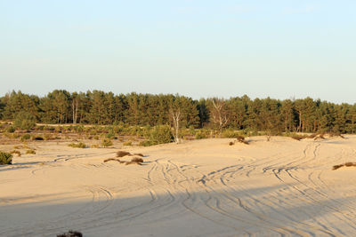 Scenic view of landscape against clear sky