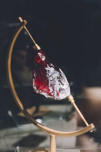 Close-up of red berries against black background