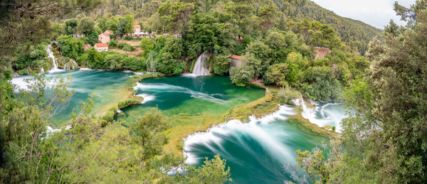 High angle view of river amidst trees