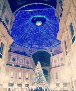 Low angle view of illuminated christmas tree