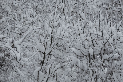 Full frame shot of snow on land