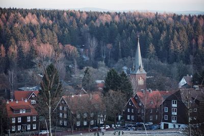 High angle view of trees and buildings in city