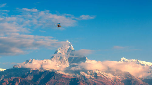 Low angle view of bird flying in sky