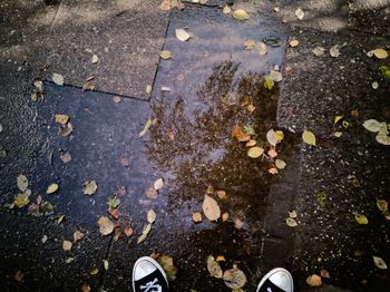 Low section of person standing on wet street during autumn