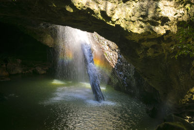 Scenic view of waterfall in forest