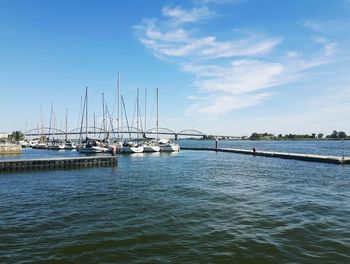 Sailboats in marina