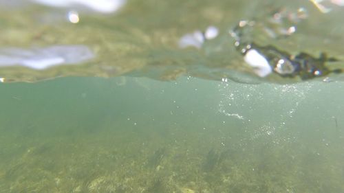 Close-up of water in sea