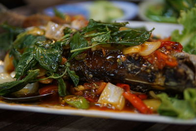 Close-up of served food in plate