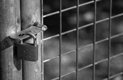 Close-up of padlock on railing