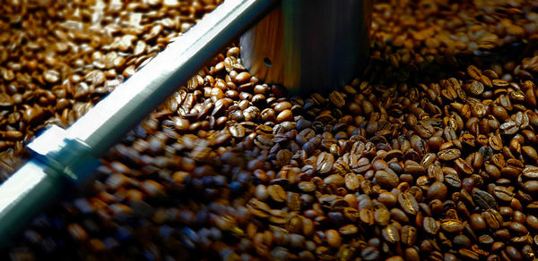 High angle view of coffee beans