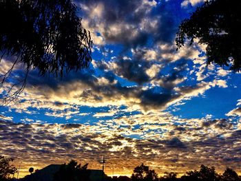 Low angle view of silhouette trees against dramatic sky