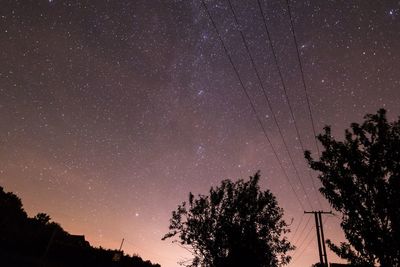 Low angle view of silhouette trees against star field at night