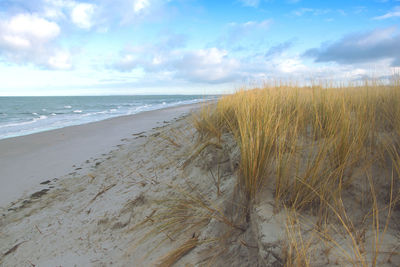 Scenic view of beach against sky