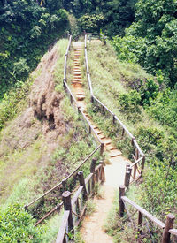 High angle view of steps amidst trees in forest