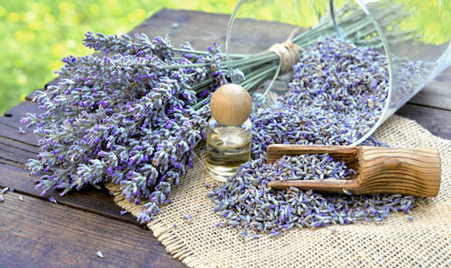 High angle view of lavender growing on table