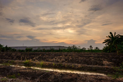 Scenic view of field against sky during sunset