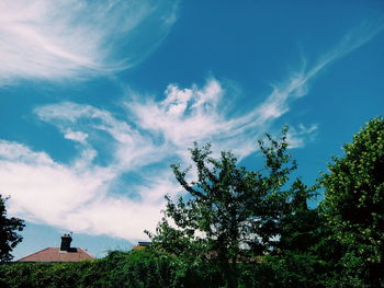 Trees against sky