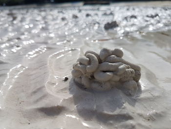 Close-up of sand on beach