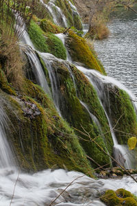 Scenic view of waterfall