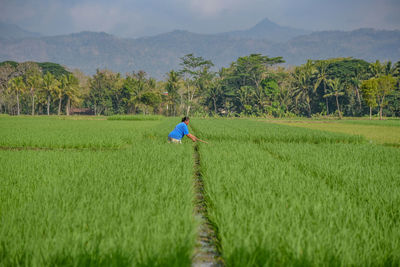 Rear view of person on field against sky