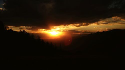 Silhouette of trees at sunset