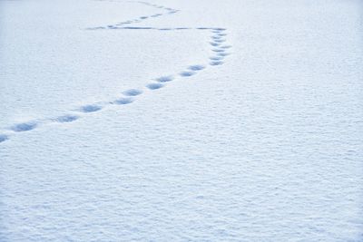 Close-up of footprints in snow