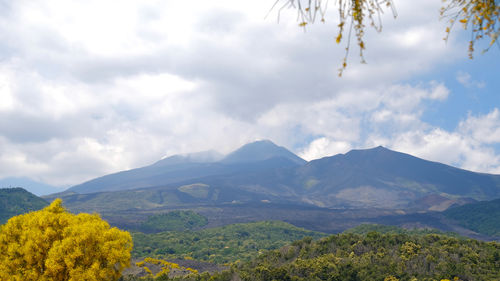 mountain