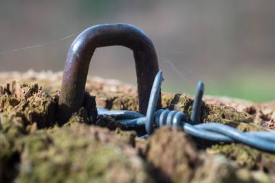 Close-up of rusty metal chain on field