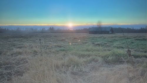 Scenic view of field against sky during sunset