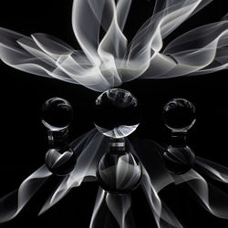 Digital composite image of flowers