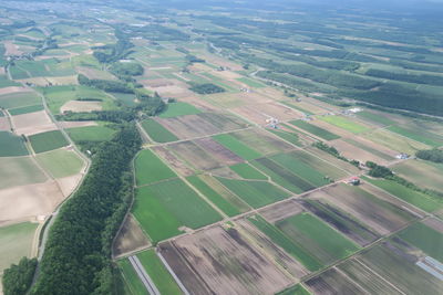 High angle view of agricultural field