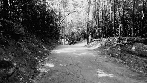 Road passing through forest