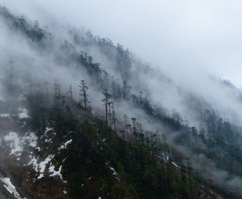 Scenic view of snow covered land against sky