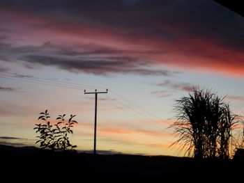 Low angle view of silhouette tree against sky at sunset