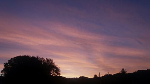 Silhouette trees against sky at sunset