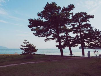 Scenic view of beach and tree against sky