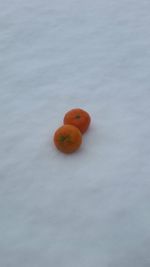 Close-up of orange fruit