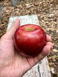 Close-up of hand holding apple