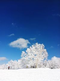 Snow covered landscape against blue sky