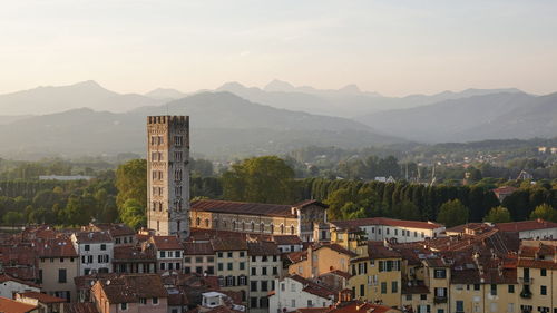 Evening view from the 45 m high tower torre guinigi in lucca, italy