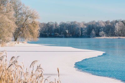 winter